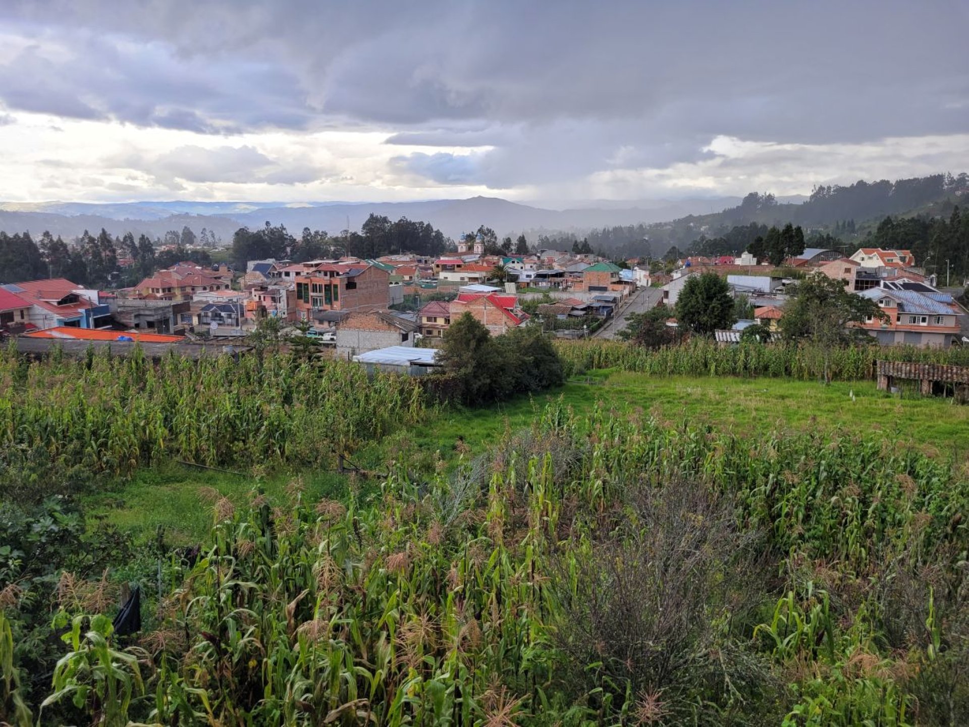 BilDev Tours | Cultural and Community Tourism in Ecuador