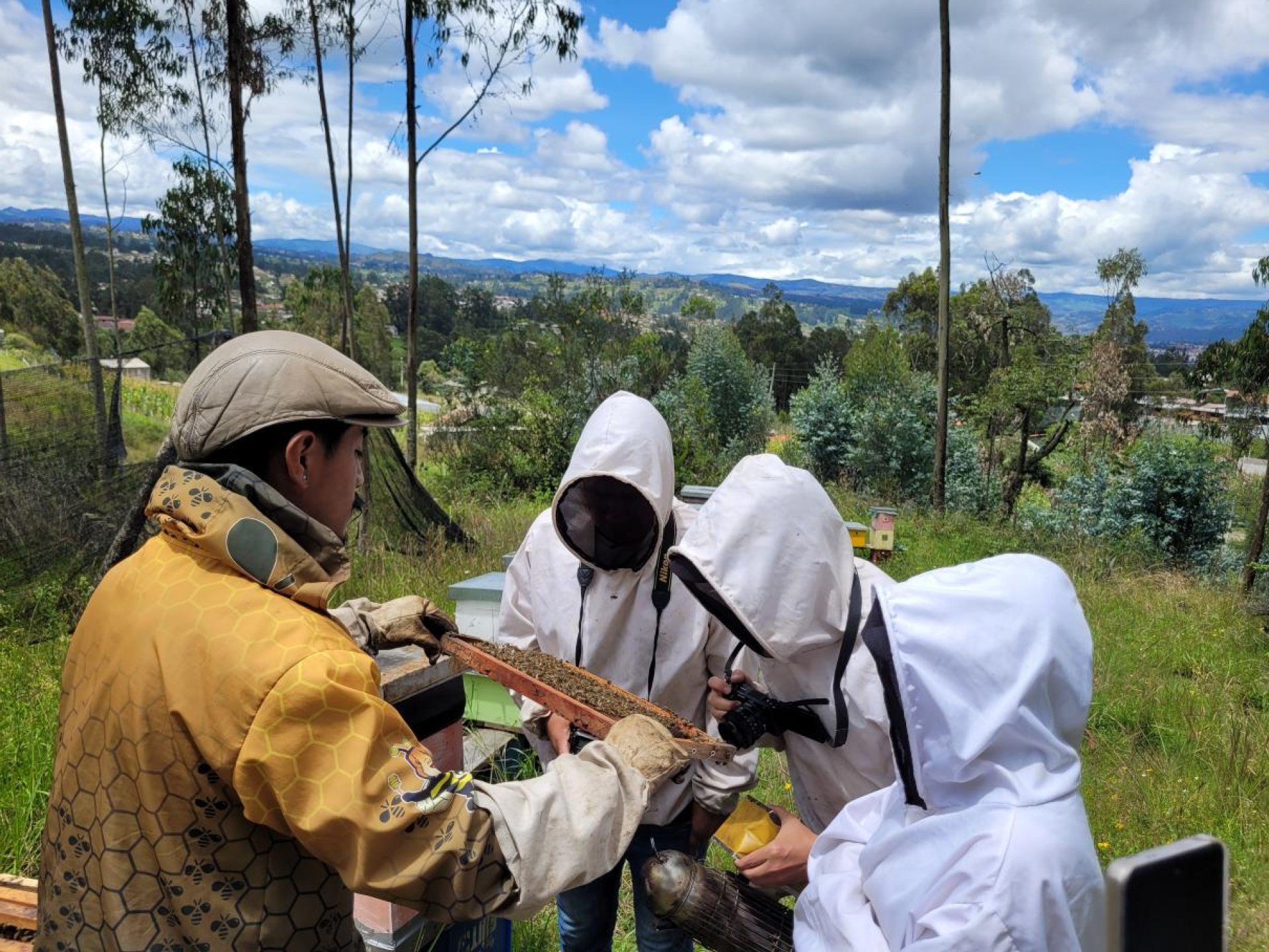 Ruta de las abejas