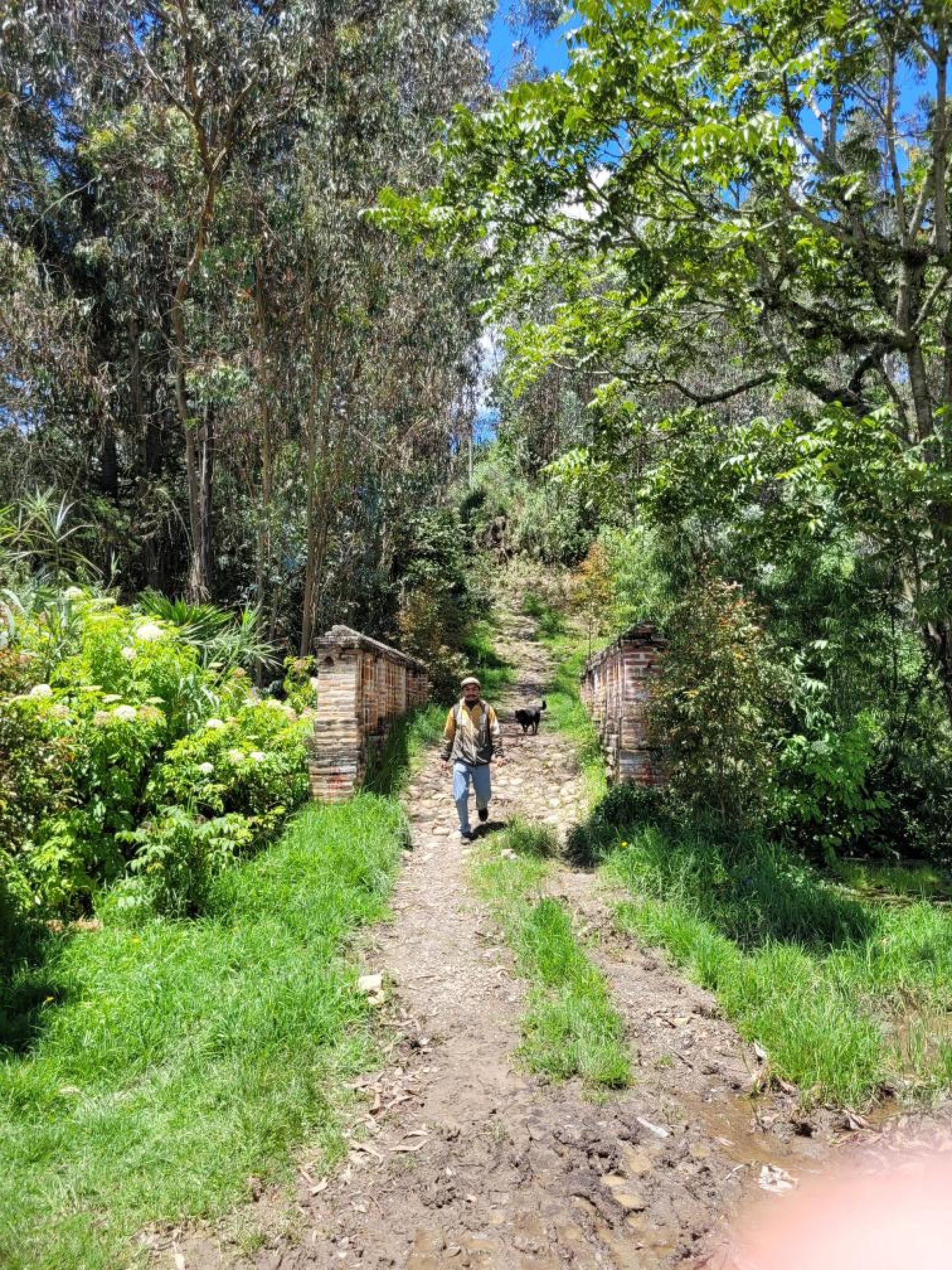 Ruta de las abejas